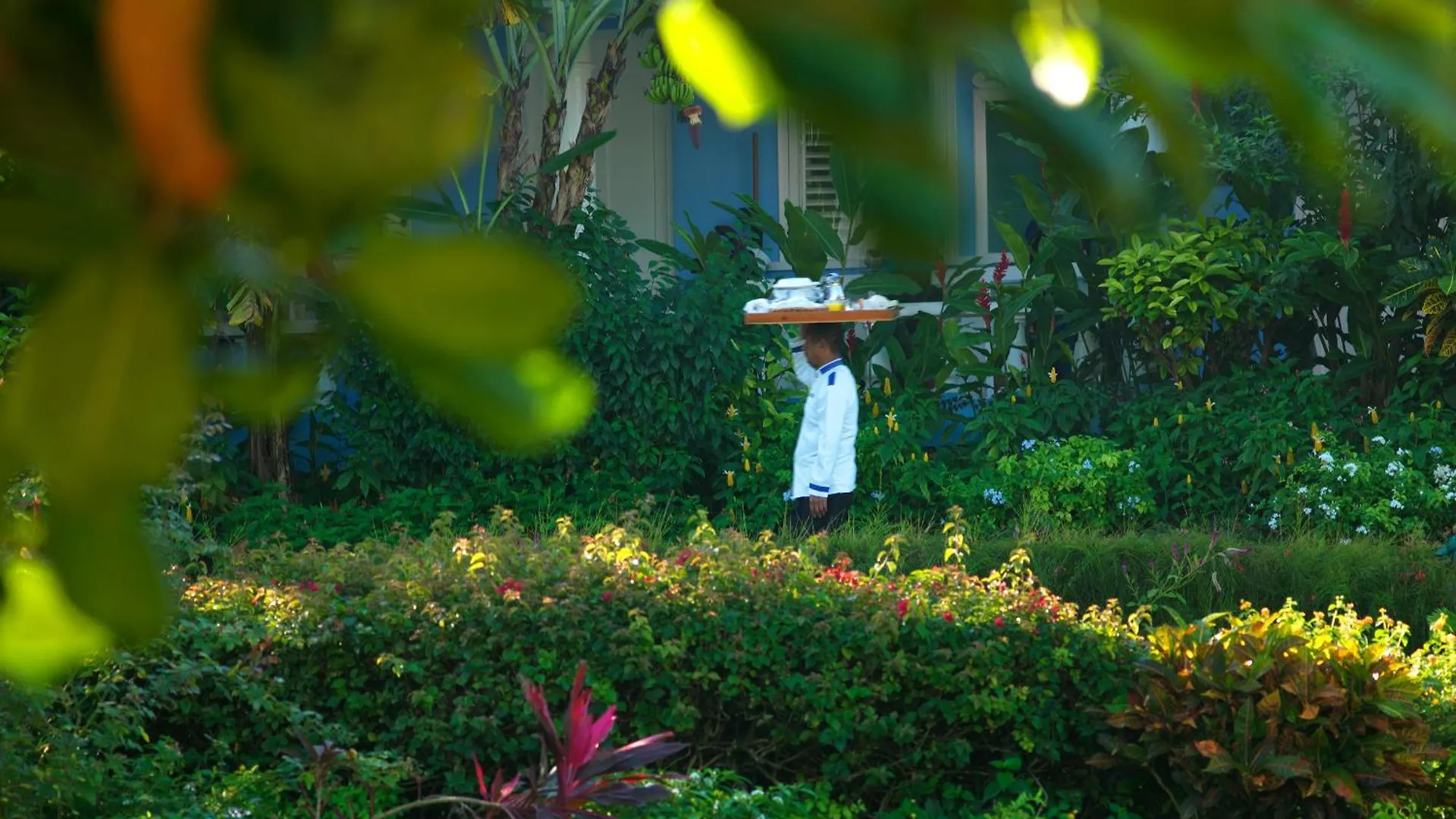 Jamaica Inn Ocho Rios